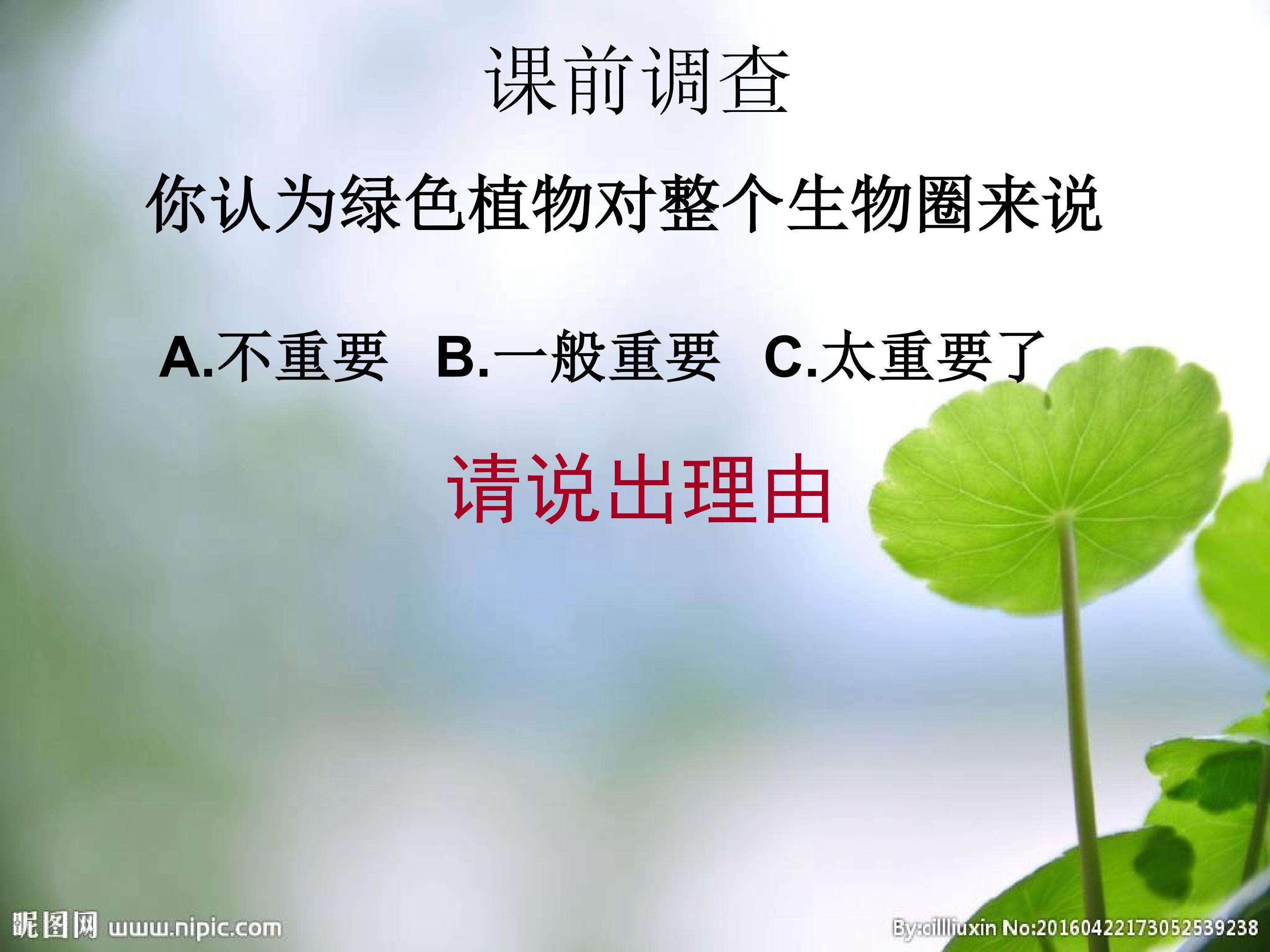 绿叶在光下制造有机物