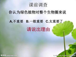 绿叶在光下制造有机物