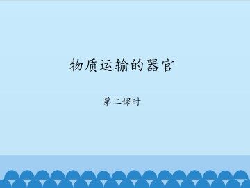 物质运输的器官-第二课时_课件1