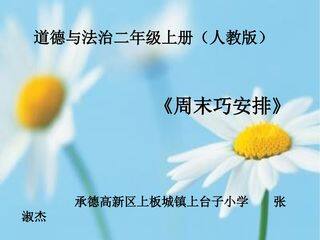 二年级上册道德与法制 周末巧安排