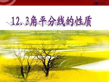 12.3角的平分线的性质