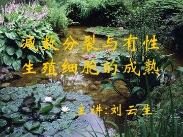 生物高中必修2第二章第一节课件4