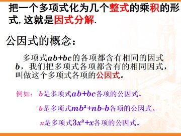 提公因式法_课件4