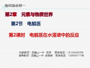 陈芳《电解质在水溶液中的反应》课件