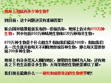 《校园生物大搜索》课件2