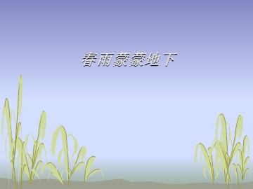 春雨蒙蒙地下_课件1