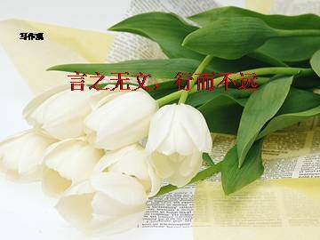 言之无文，行而不远_课件1