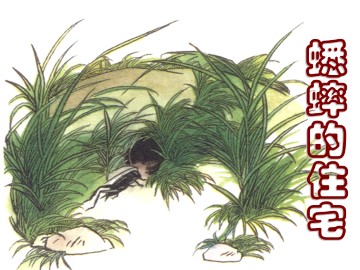 蟋蟀的住宅_课件4
