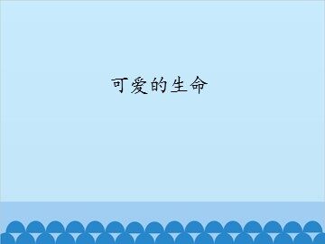 可爱的生命_课件1