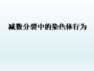 减数分裂中的染色体行为_课件1