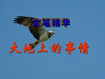 文笔精华（三）_课件1