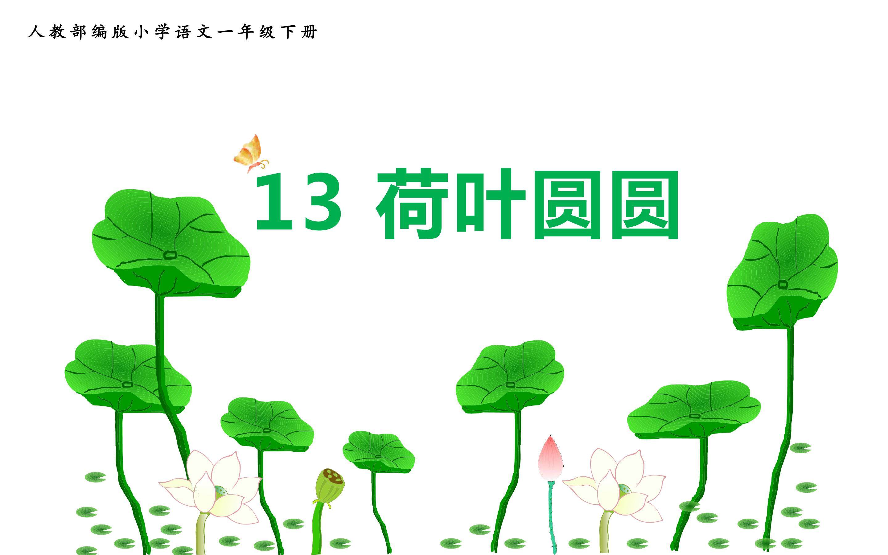 13 《荷叶圆圆》