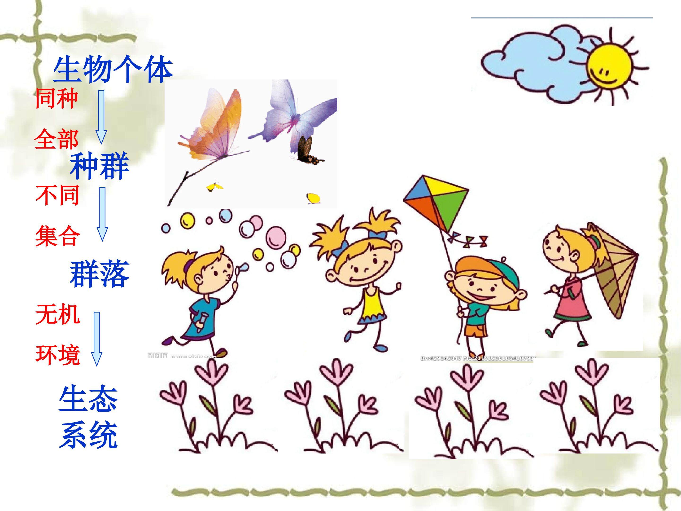 生态结构的结构