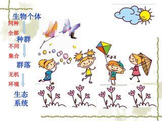 生态结构的结构