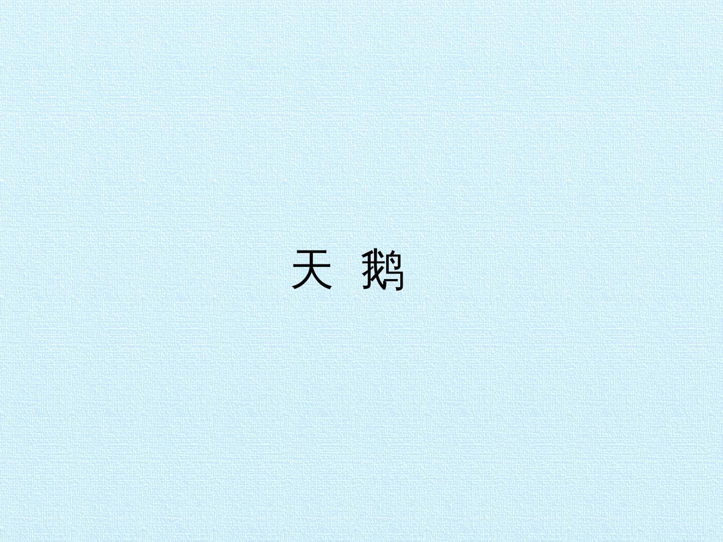 天鹅_课件1