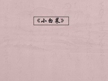 《小白菜》_课件1