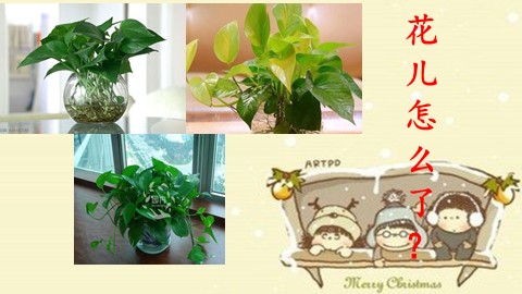 第三节  饮水有益健康