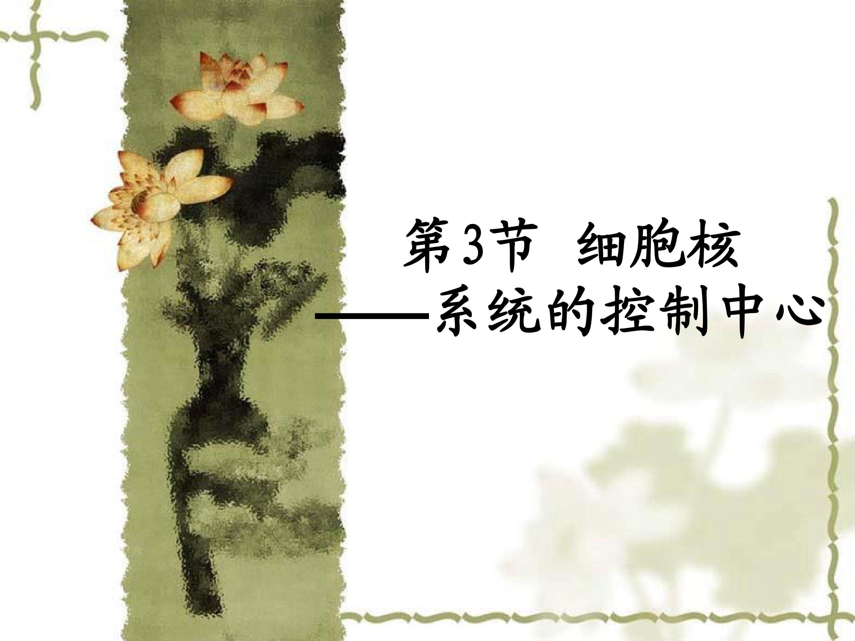 细胞核----系统的控制中心
