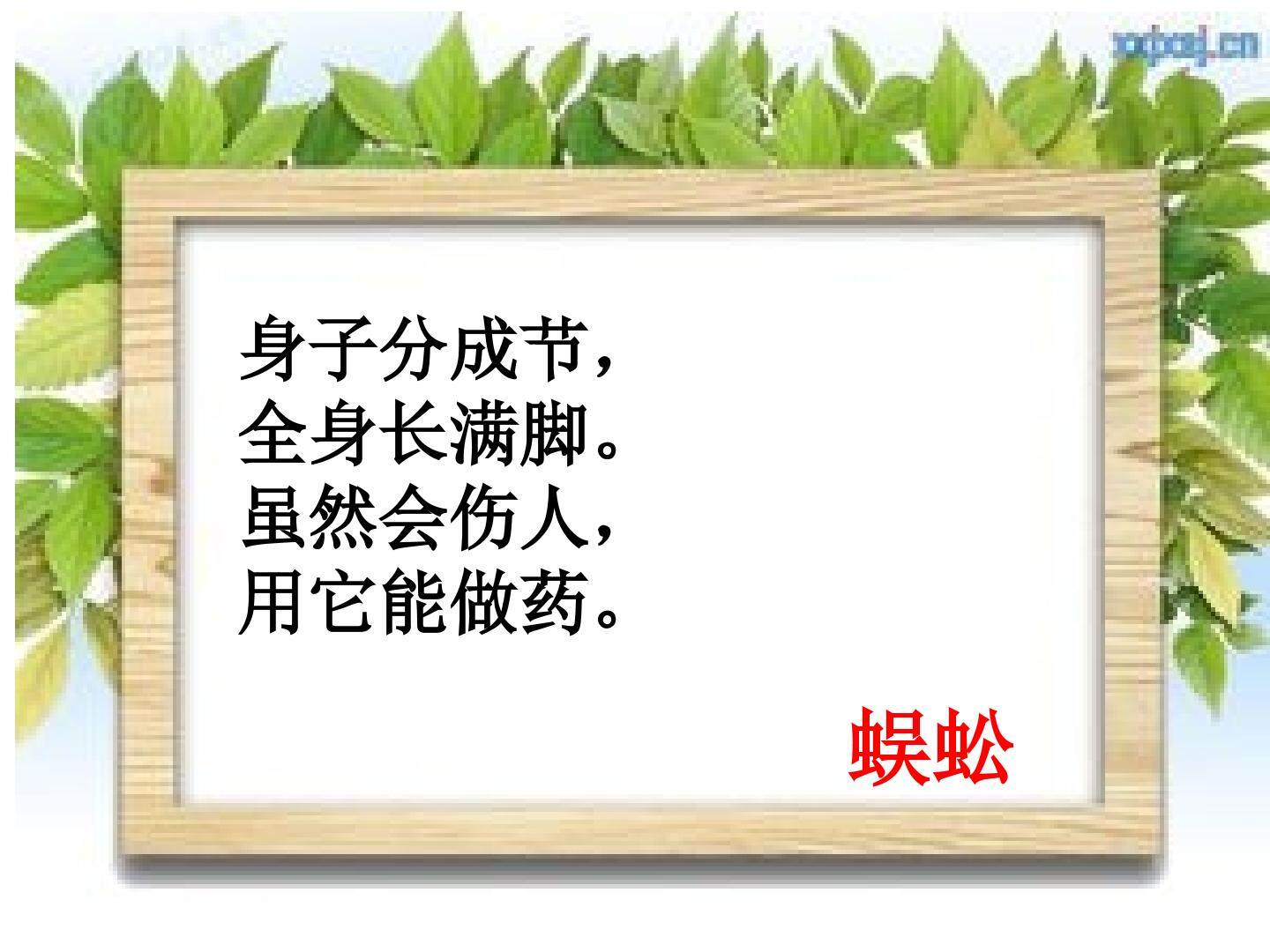 《土壤中的小动物》ppt课件