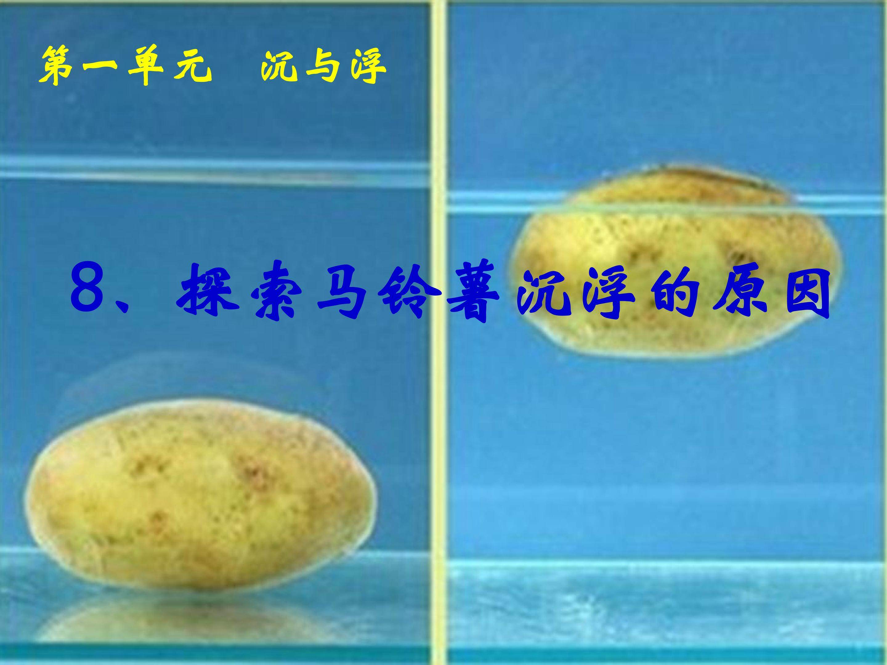 探索马铃薯沉浮的原因