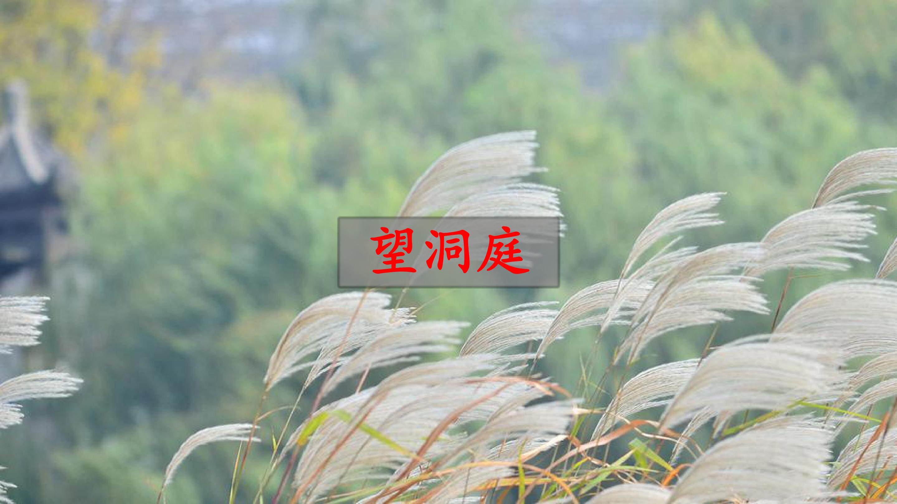 望洞庭