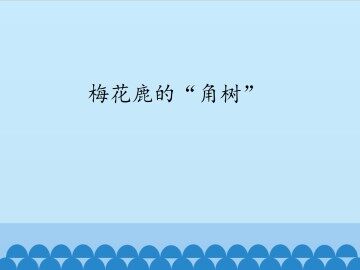 梅花鹿的“角树”_课件1