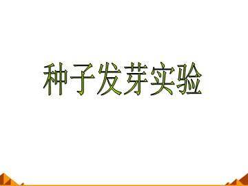 种子发芽实验（二）_课件1