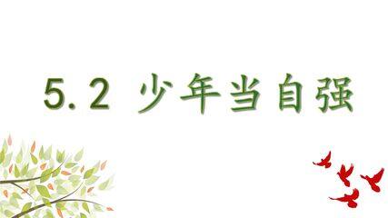 【★★★】9年级下册道德与法治部编版课件第3单元《5.2 少年当自强》