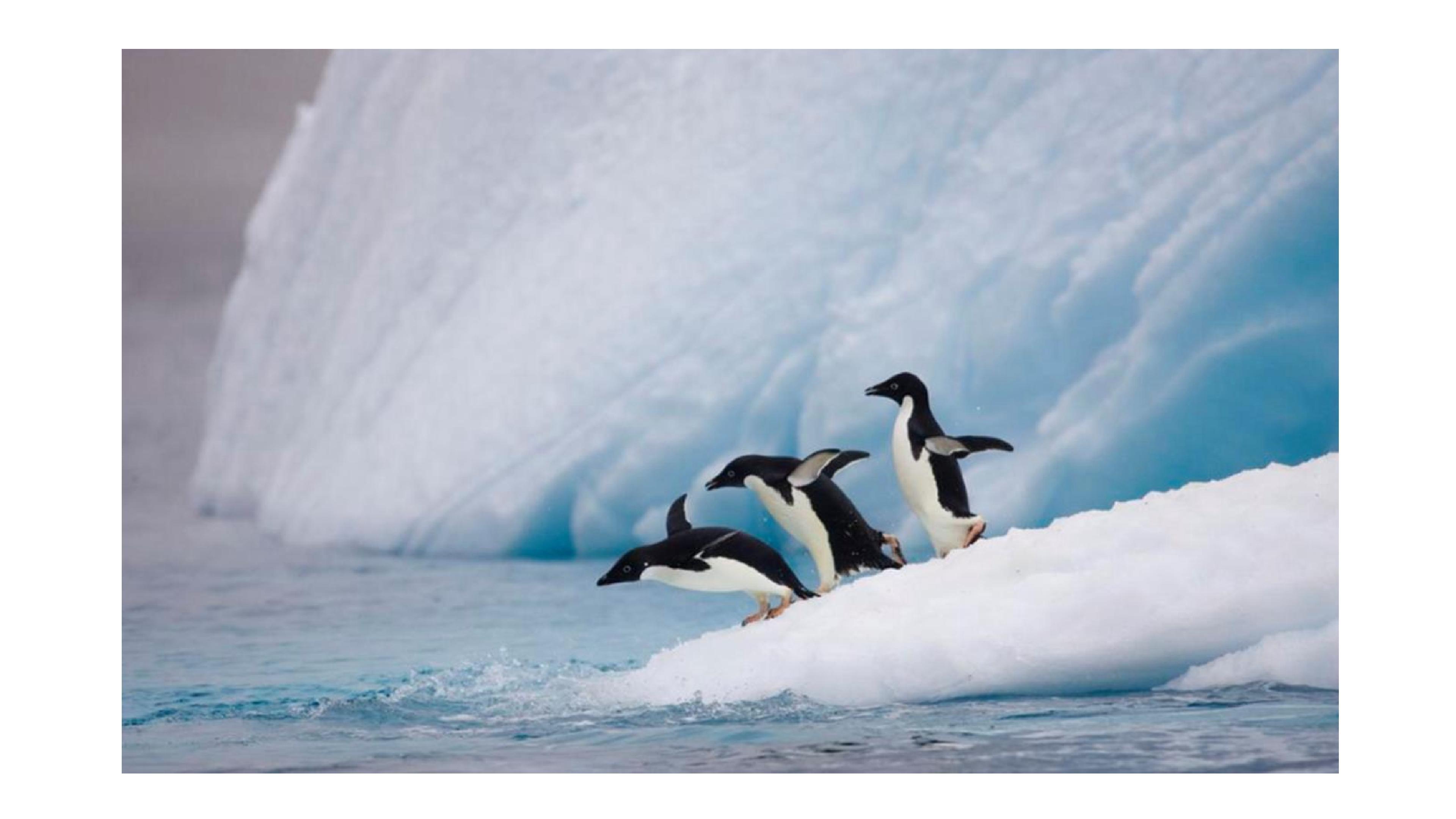 antarctica