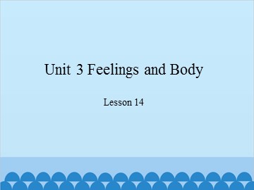 Unit 3 Feelings and Body- Lesson 14_课件1