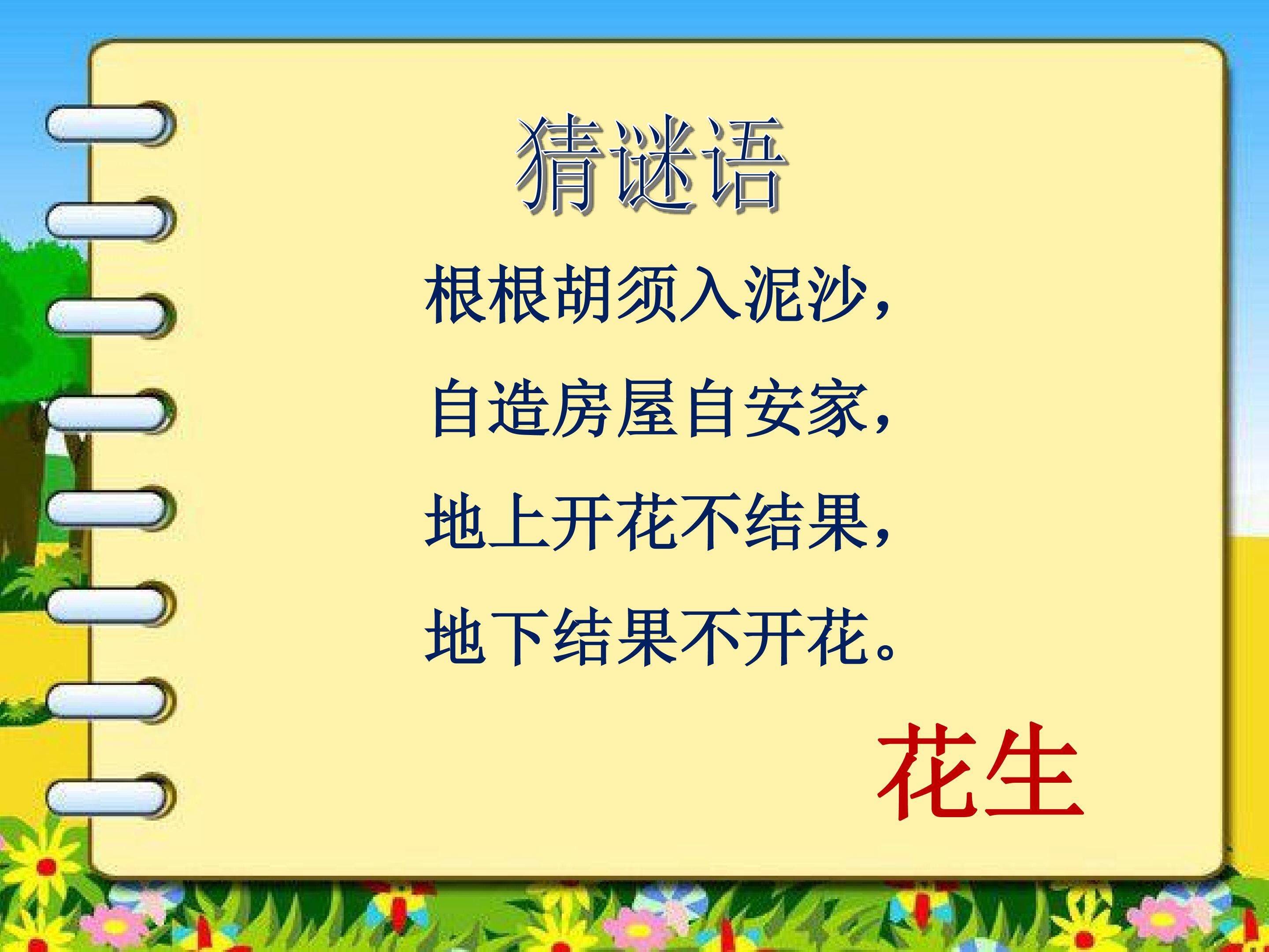 小松鼠找花生