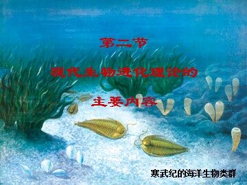 生物高中必修2第七章第二节课件10