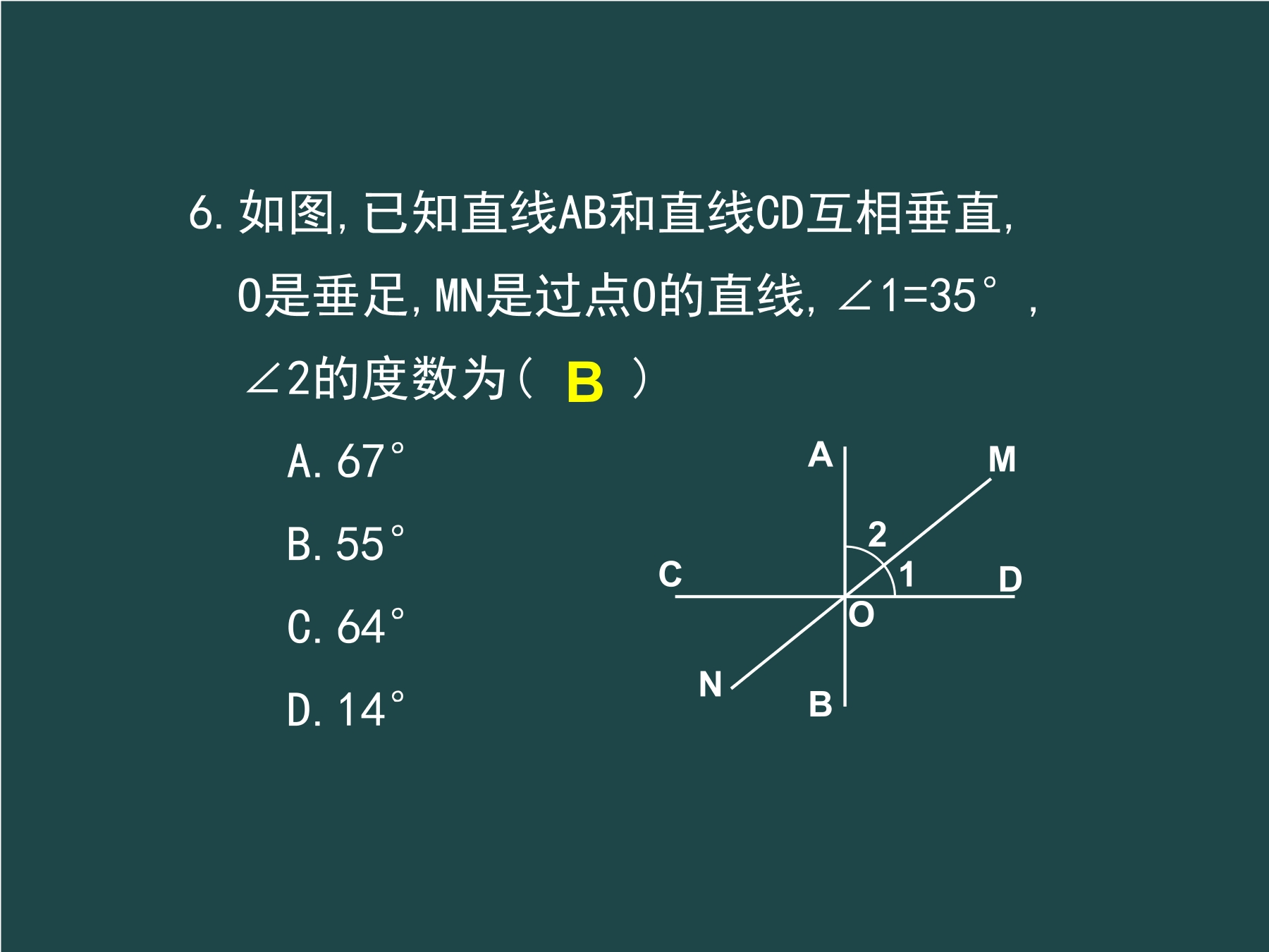 19.jpg