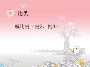 《解比例》课件1