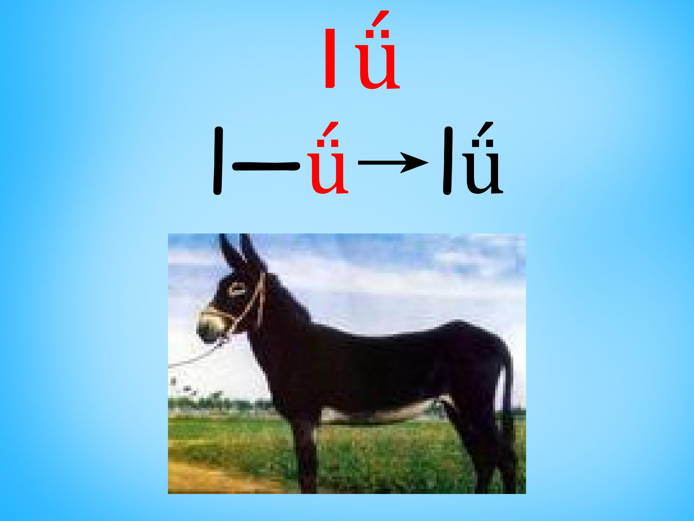 44.jpg