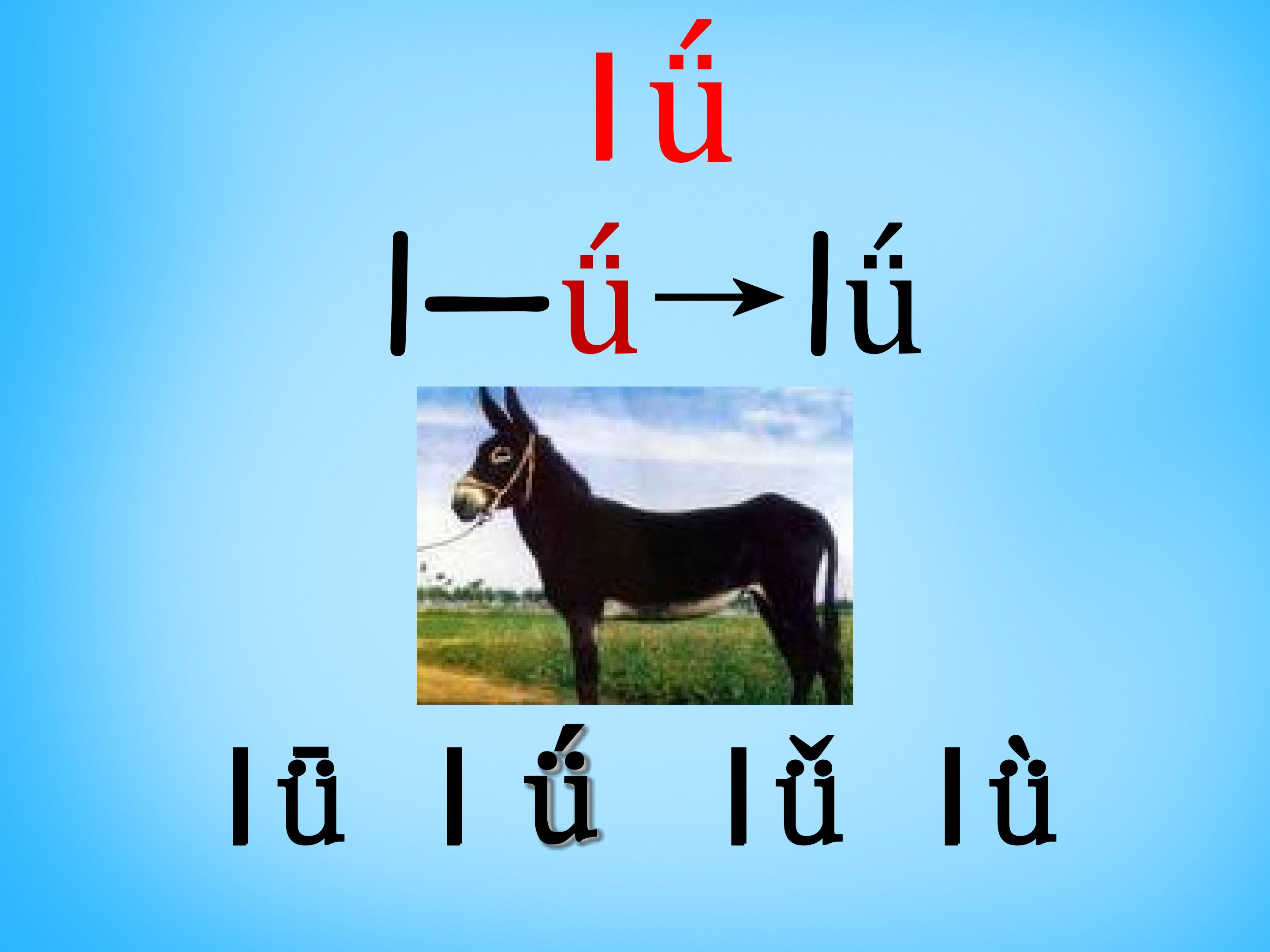 45.jpg