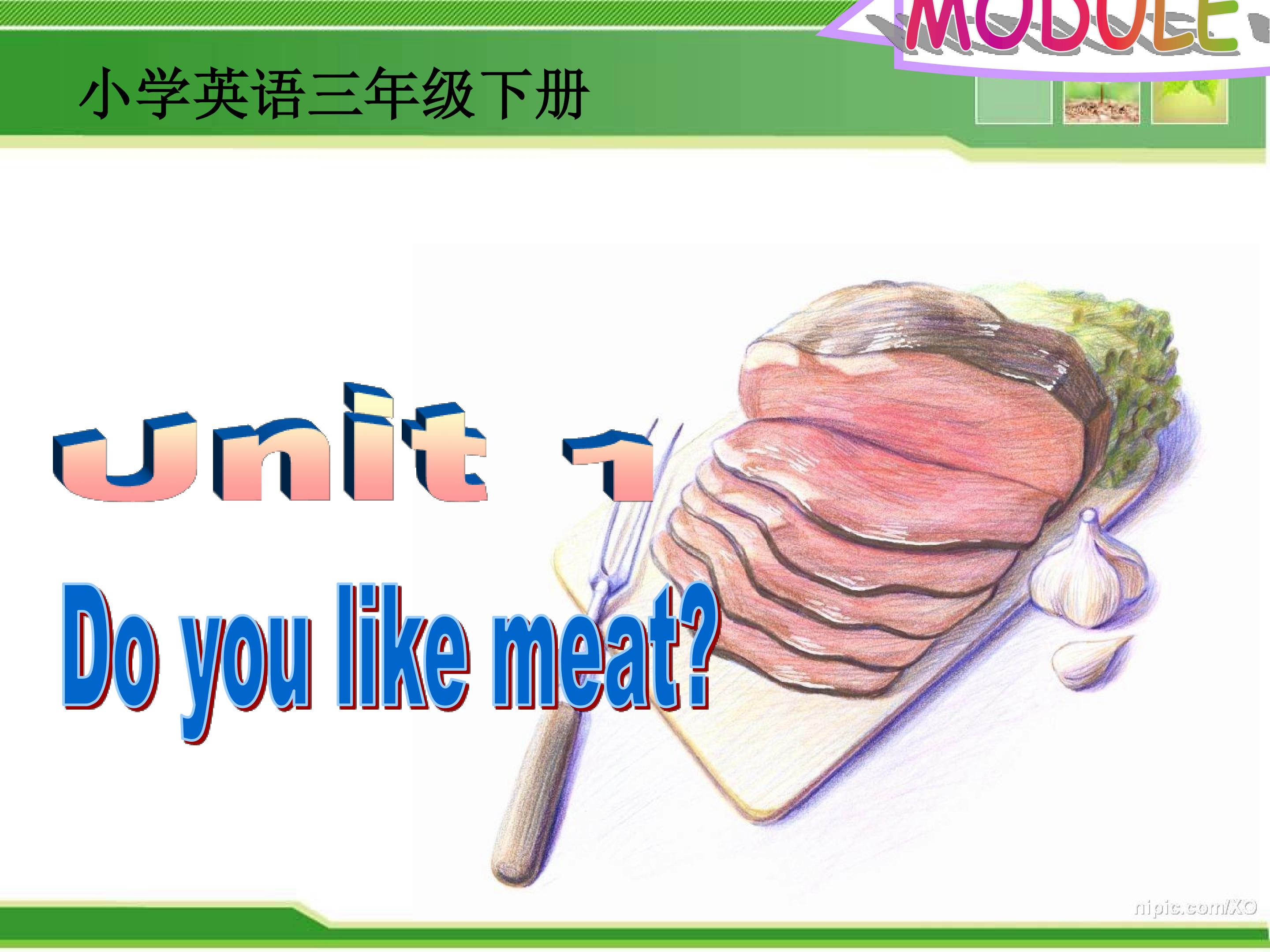 Do you like meat?