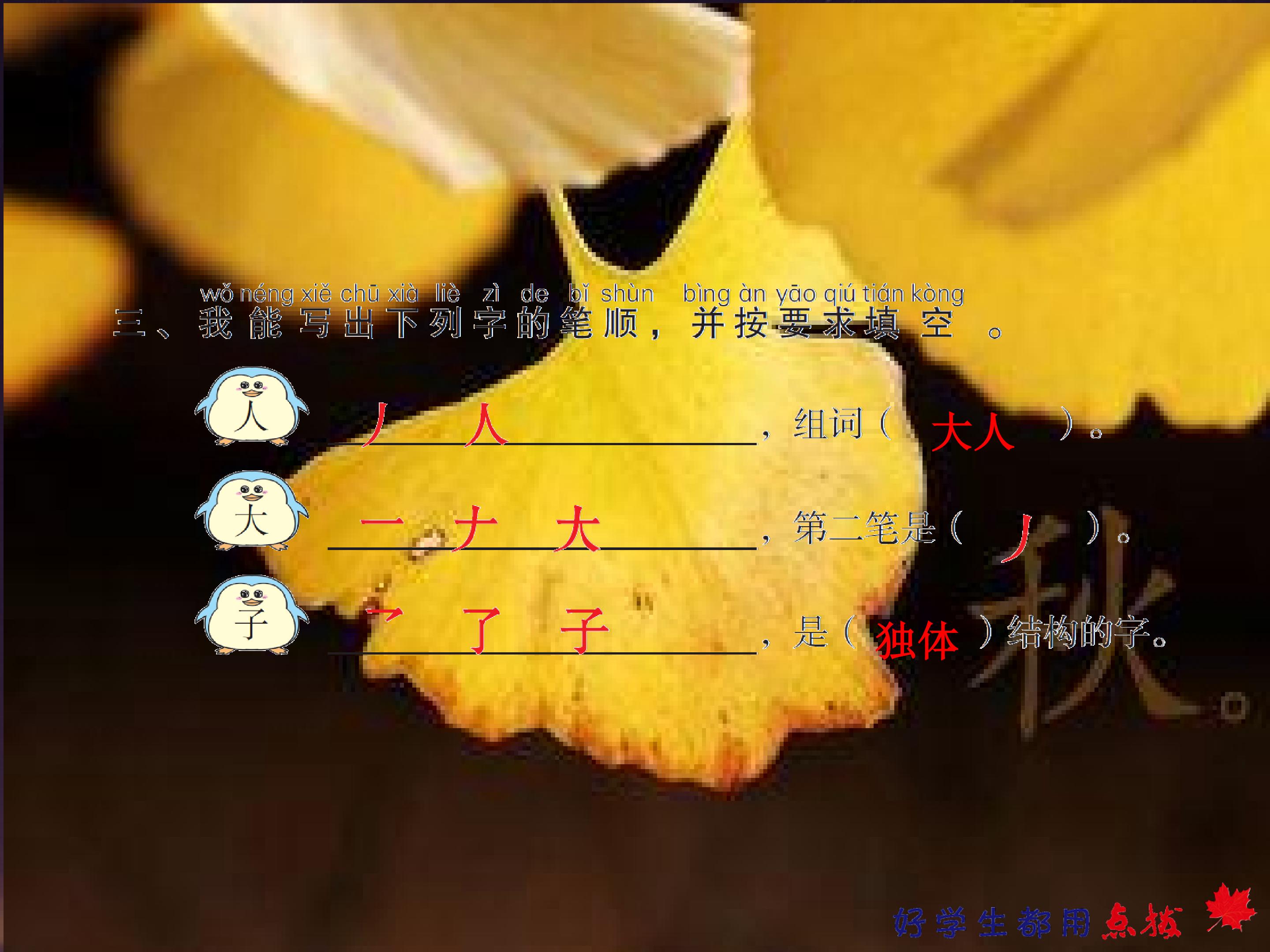18.jpg