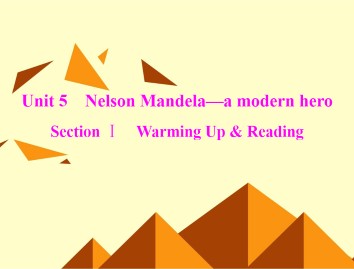 Nelson Mandela - a modern hero_课件29