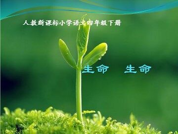 19 生命 生命