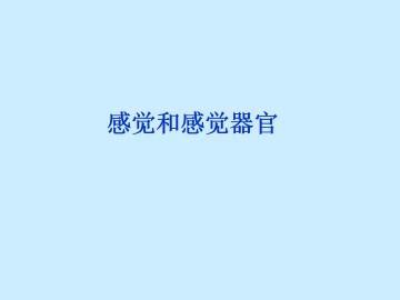 感觉和感觉器官_课件5