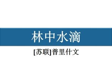 林中水滴_课件1