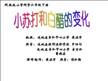小苏打和白醋的变化