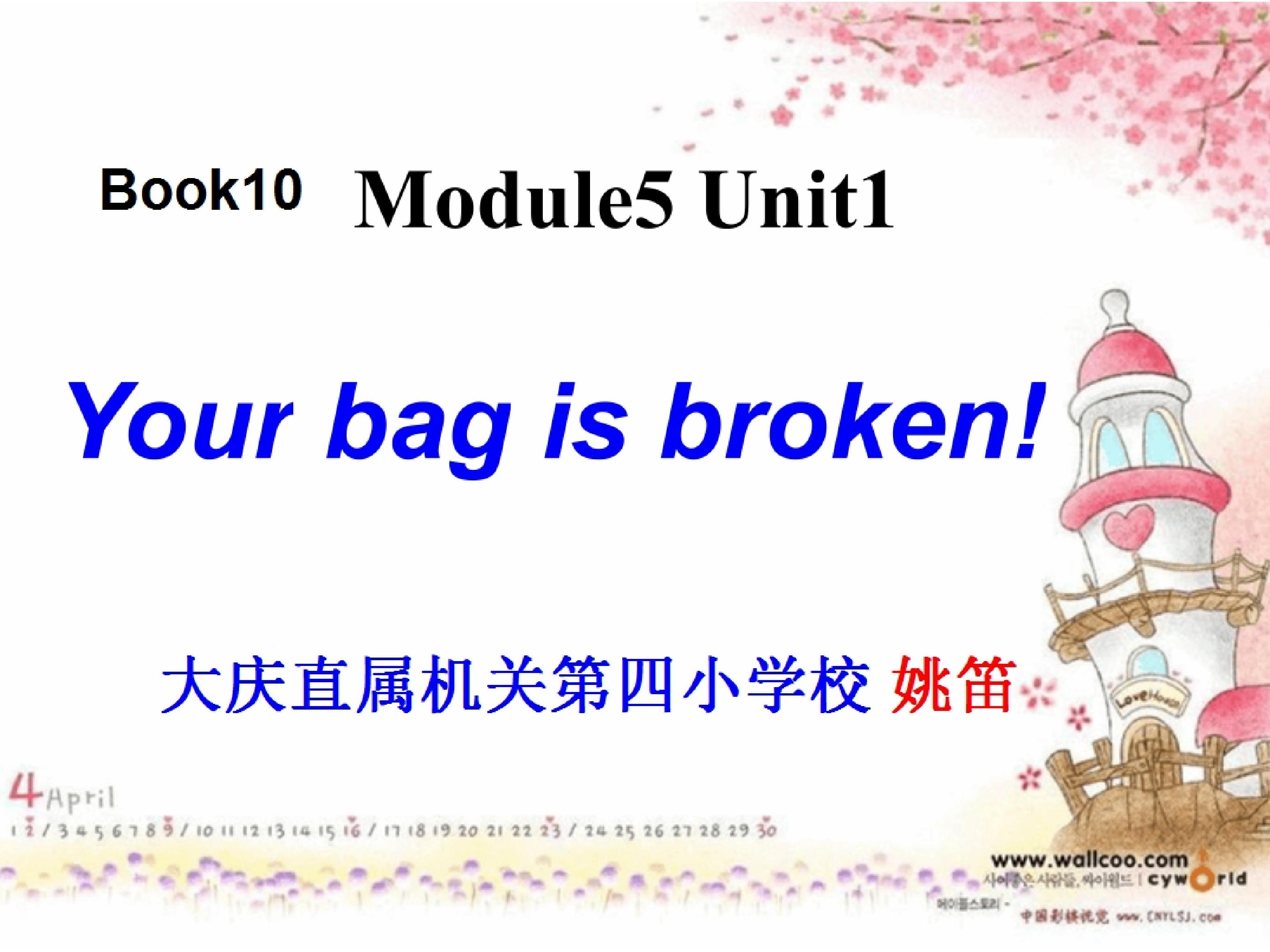 Module5 Unit1 Your bag is broken!