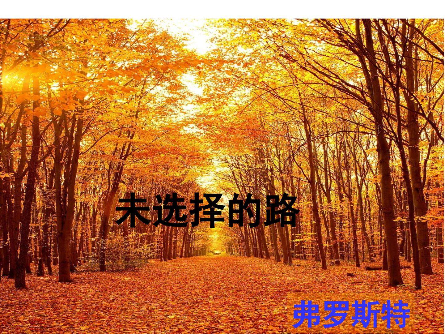 未选择的路