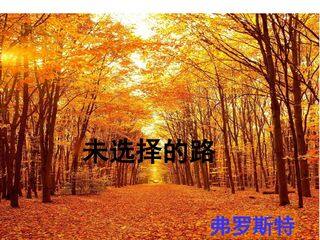 未选择的路
