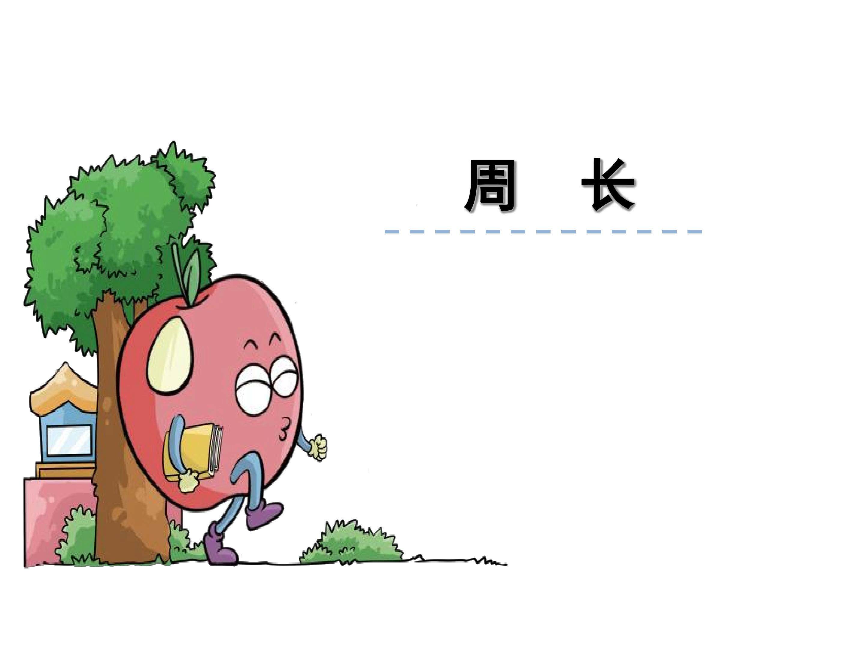 认识周长