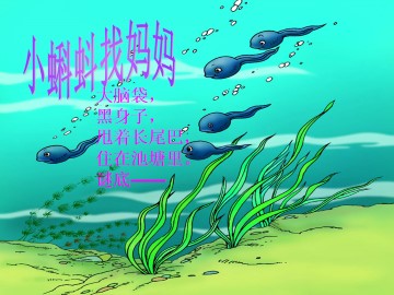 小蝌蚪找妈妈_课件2