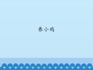 养小鸡_课件1