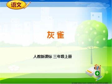5 灰雀